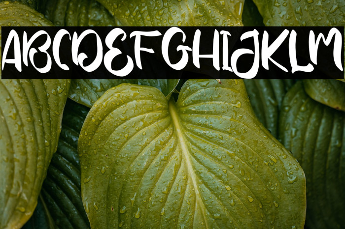 YoshinoyaRegular Example 2