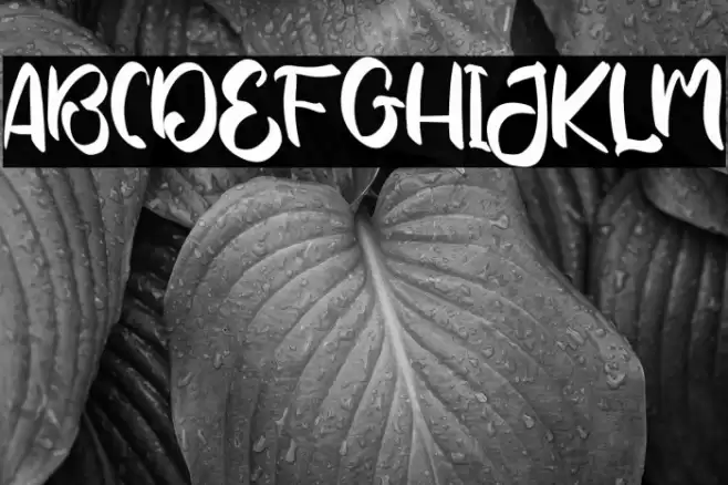 YoshinoyaRegular خط examples