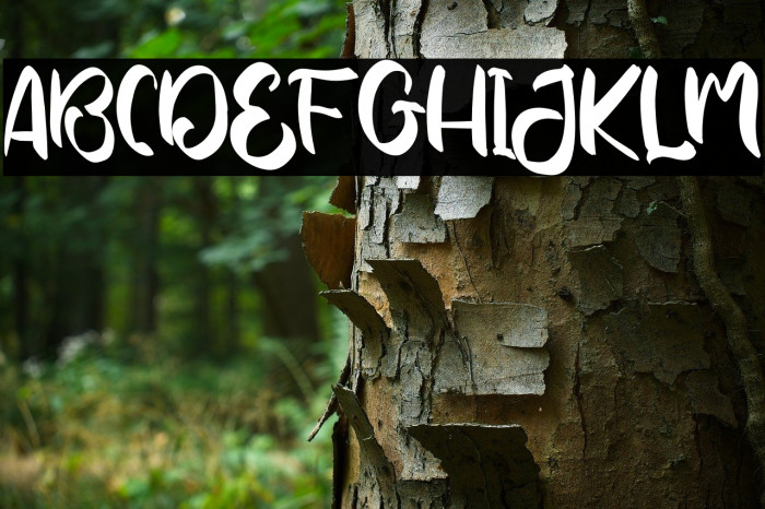 YoshinoyaRegular Example 3