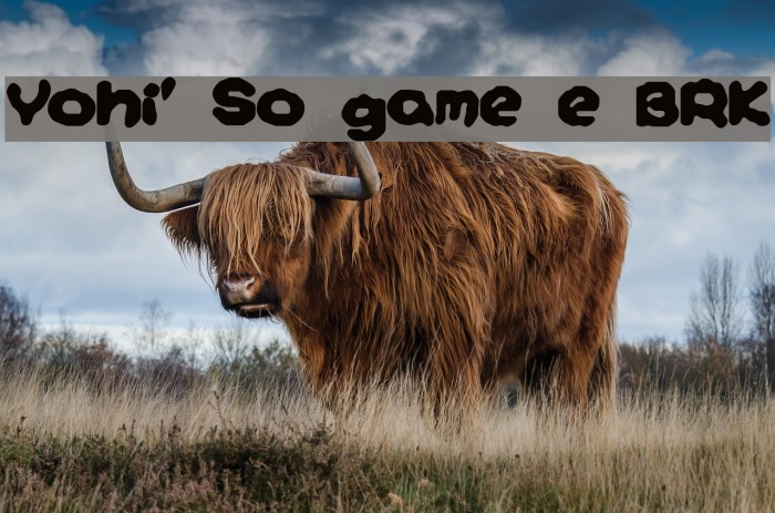 Yoshi's Story [game text] [BRK] Example 1