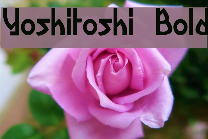 Yoshitoshi Bold Example 3
