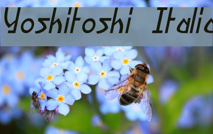 Yoshitoshi Italic Font examples