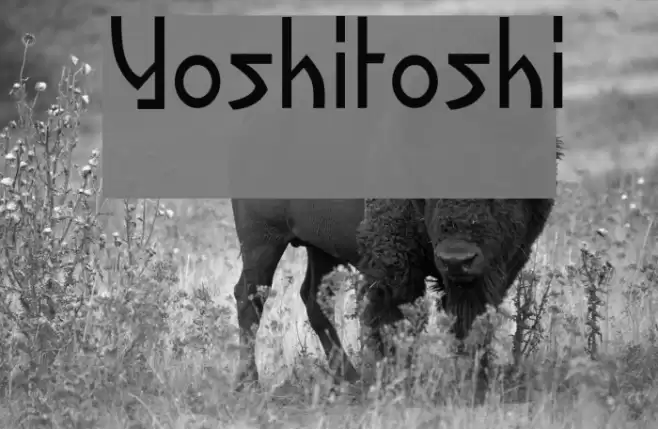 Yoshitoshi Font examples