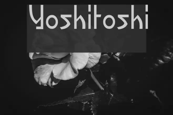 Yoshitoshi Font examples