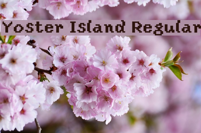 Yoster Island Regular Font examples