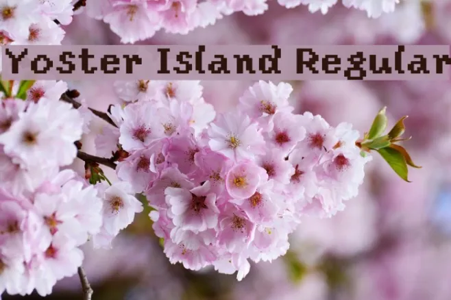Yoster Island Regular Example 2