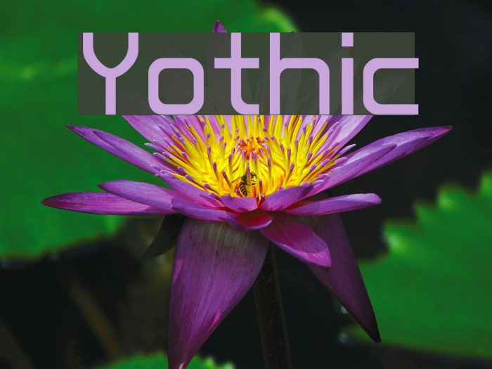 Yothic Font examples