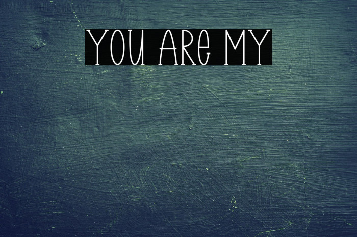 You Are My Example 1