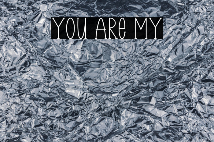 You Are My Example 3