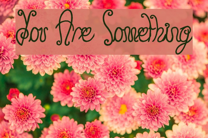 You Are Something Font examples