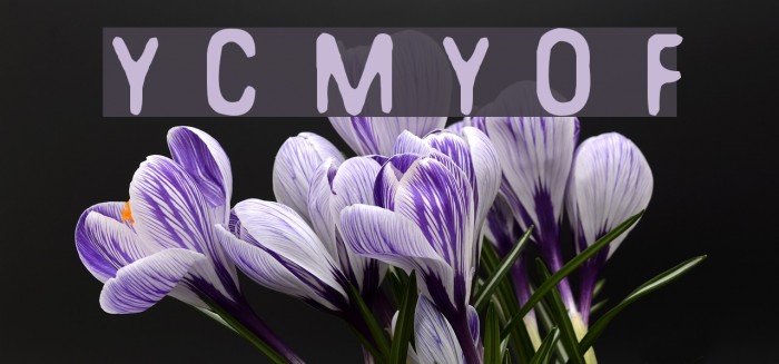 You Can Make Your Own Font Font examples