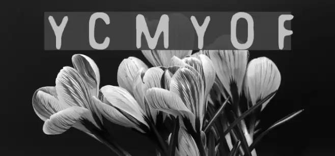 You Can Make Your Own Font Fonte examples
