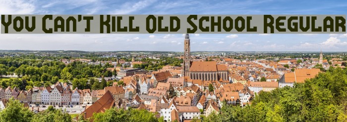 You Can't Kill Old School Regular Font examples