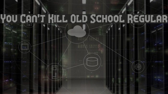 You Can't Kill Old School Regular Font examples