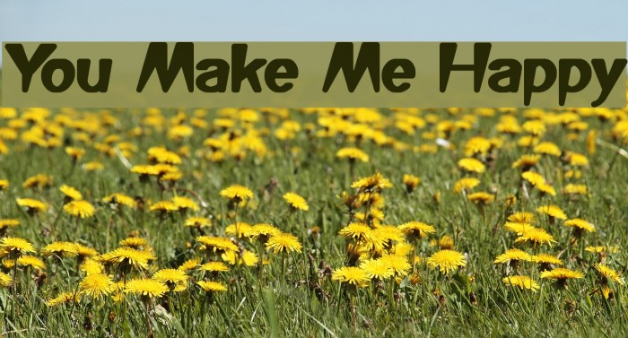 You Make Me Happy Font examples