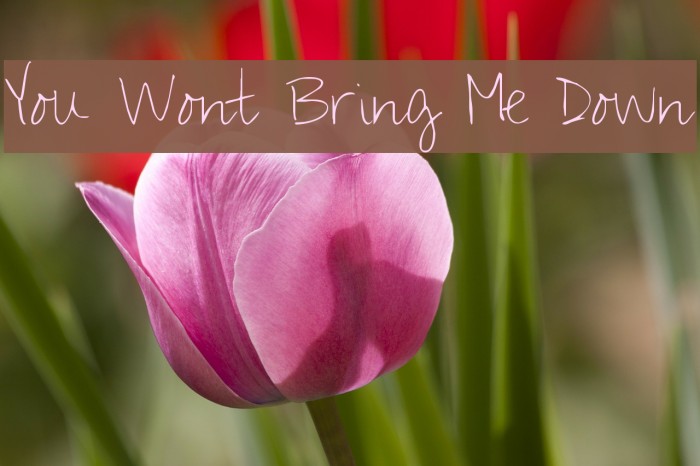 You Wont Bring Me Down Font examples