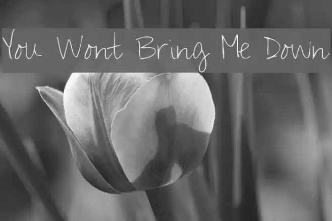 You Wont Bring Me Down خط examples