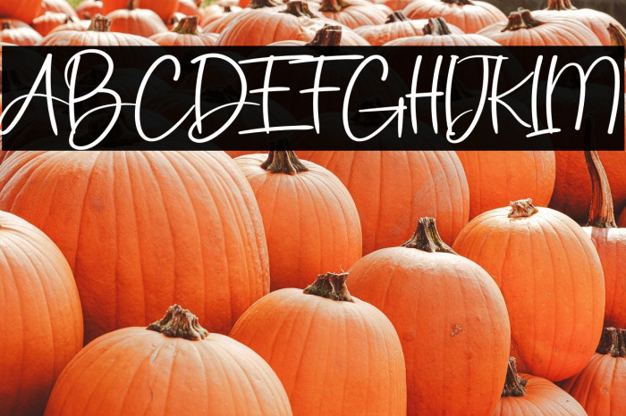 You Writing Example 3