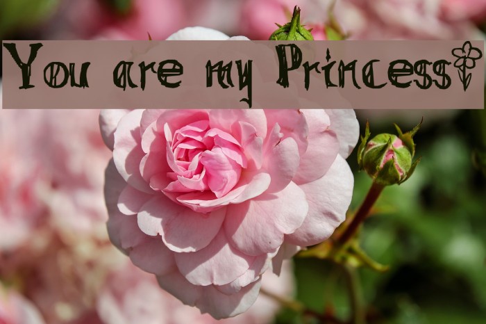 You are my Princess~ Font examples