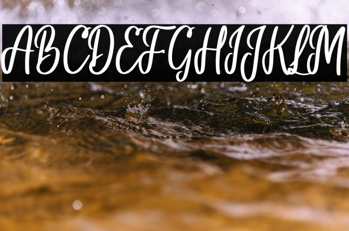 You are my everythink script fo Example 2