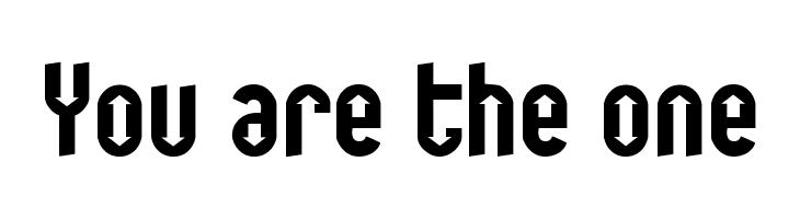 You are the one Polices