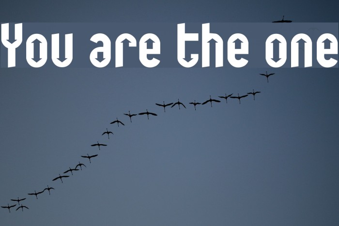You are the one Schriftart examples