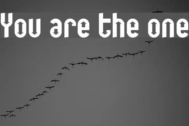 You are the one Schriftart examples
