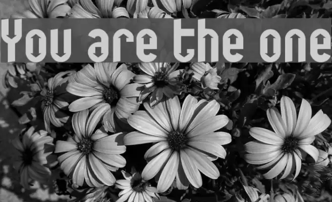 You are the one Schriftart examples