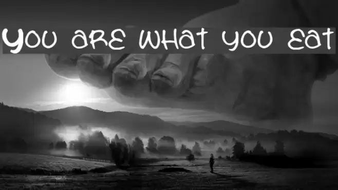 You are what you eat Font examples