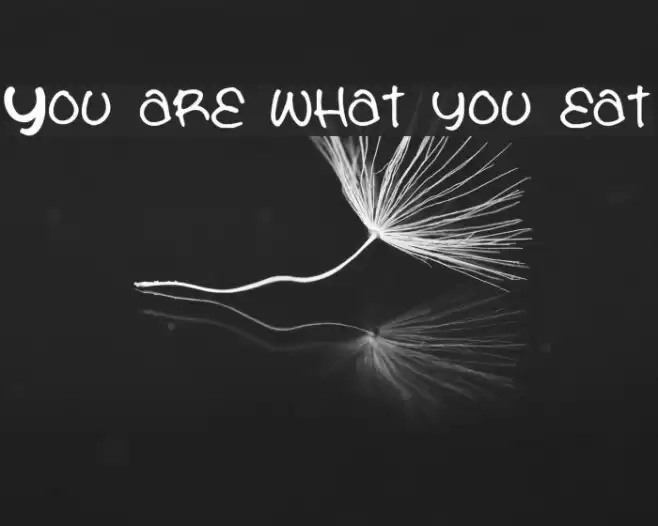 You are what you eat Font examples