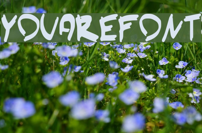 YouAreFont Example 1