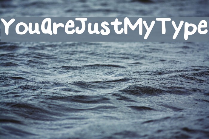 YouAreJustMyType Font examples