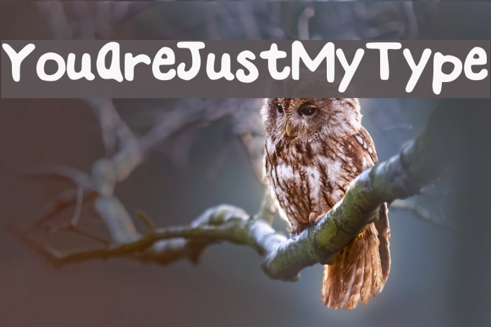 YouAreJustMyType Font examples