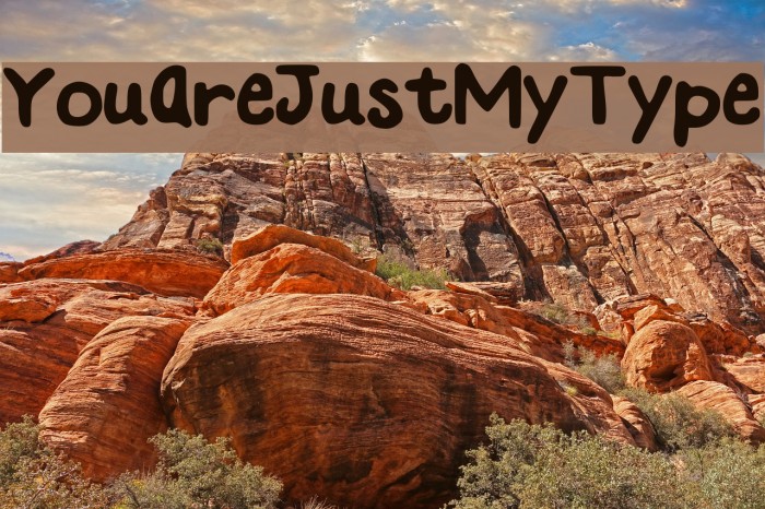 YouAreJustMyType Font examples