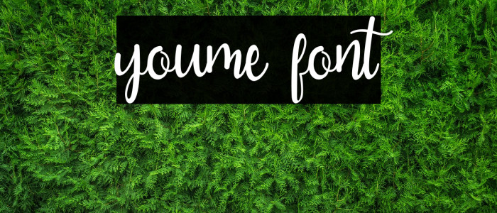 YouMe Шрифта examples