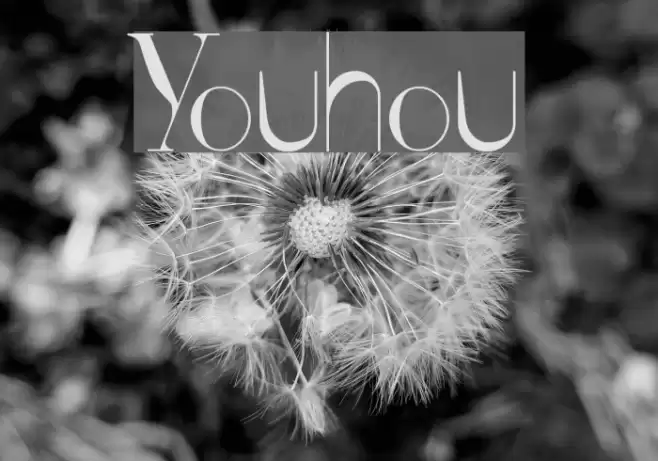 Youhou Font examples