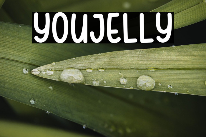 Youjelly Example 2