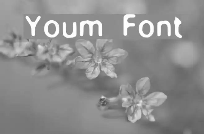 Youm Font examples
