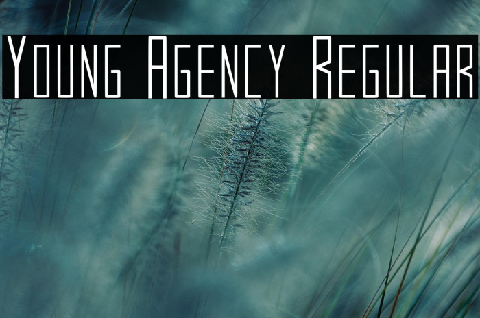 Young Agency Regular Example 1