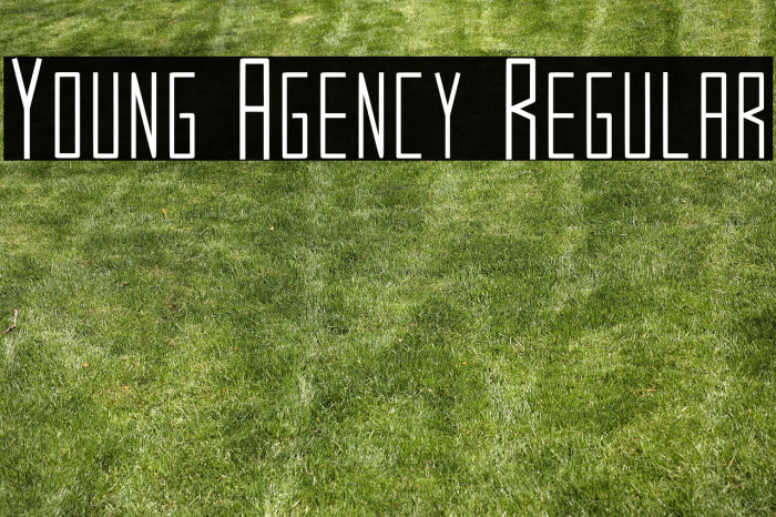 Young Agency Regular Example 2