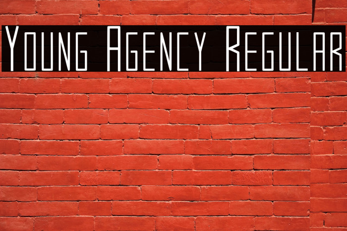 Young Agency Regular Example 3