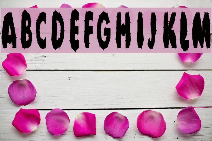 Young American 1 Font examples