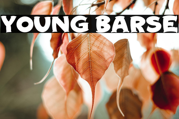 Young Barse Example 1