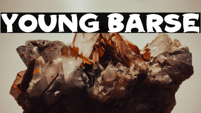 Young Barse Example 2