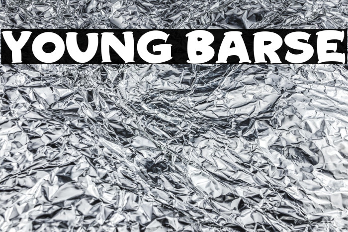 Young Barse Example 3