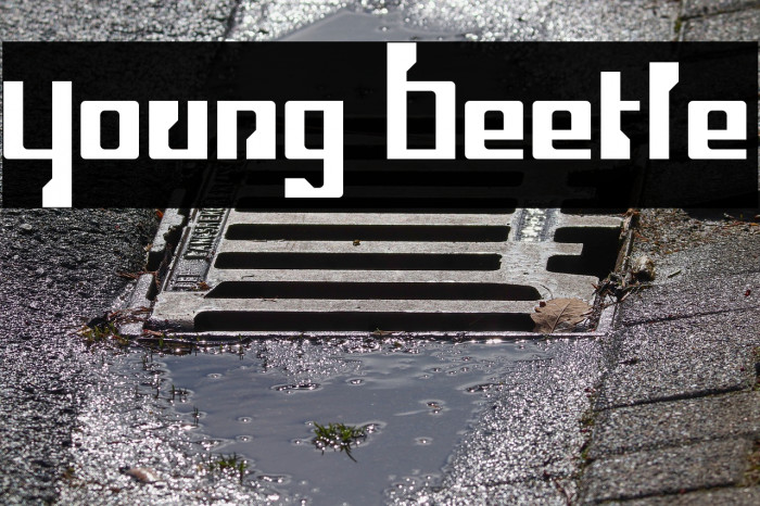 Young Beetle Font examples