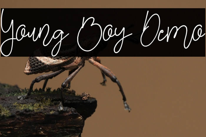 Young Boy Demo Example 2