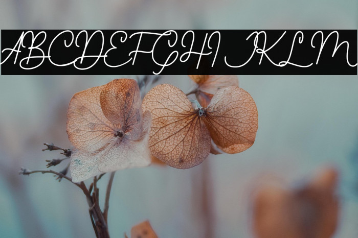 Young Evaline Example 3