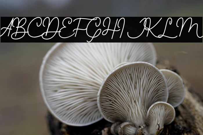 Young Evaline Example 3