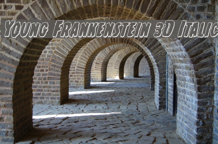 Young Frankenstein 3D Italic Font examples